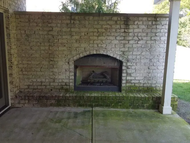 Algae on Fireplace
