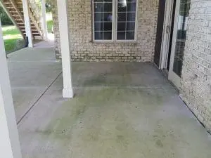Patio Wash With Algae