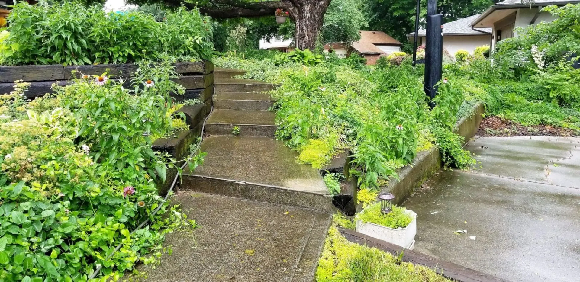 Growth on Steps