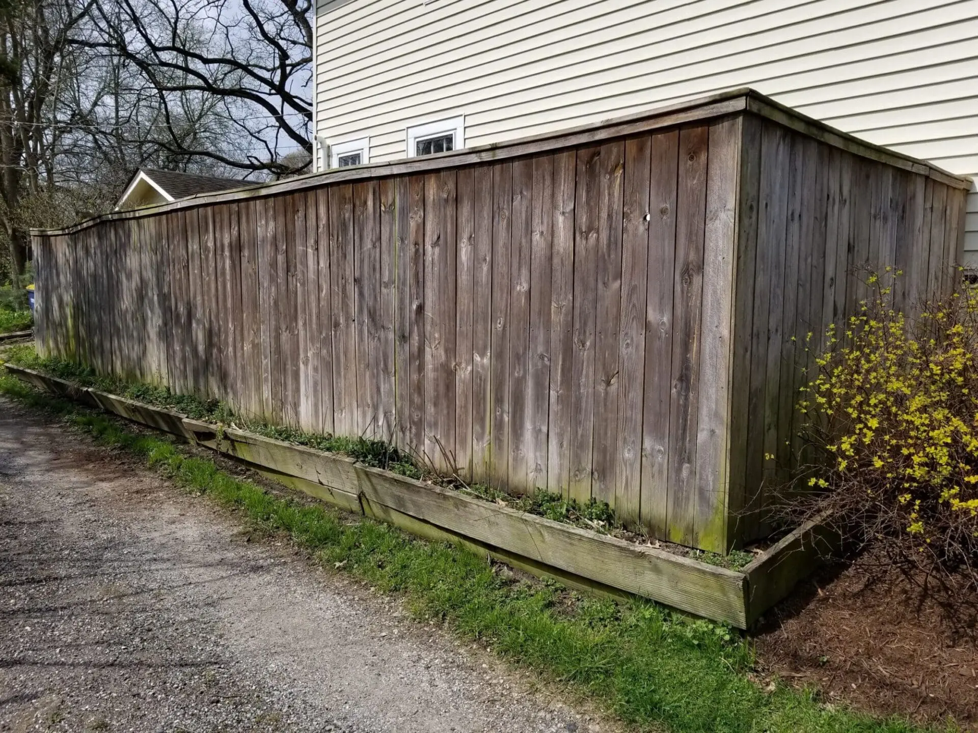 Algae on Wood Fence
