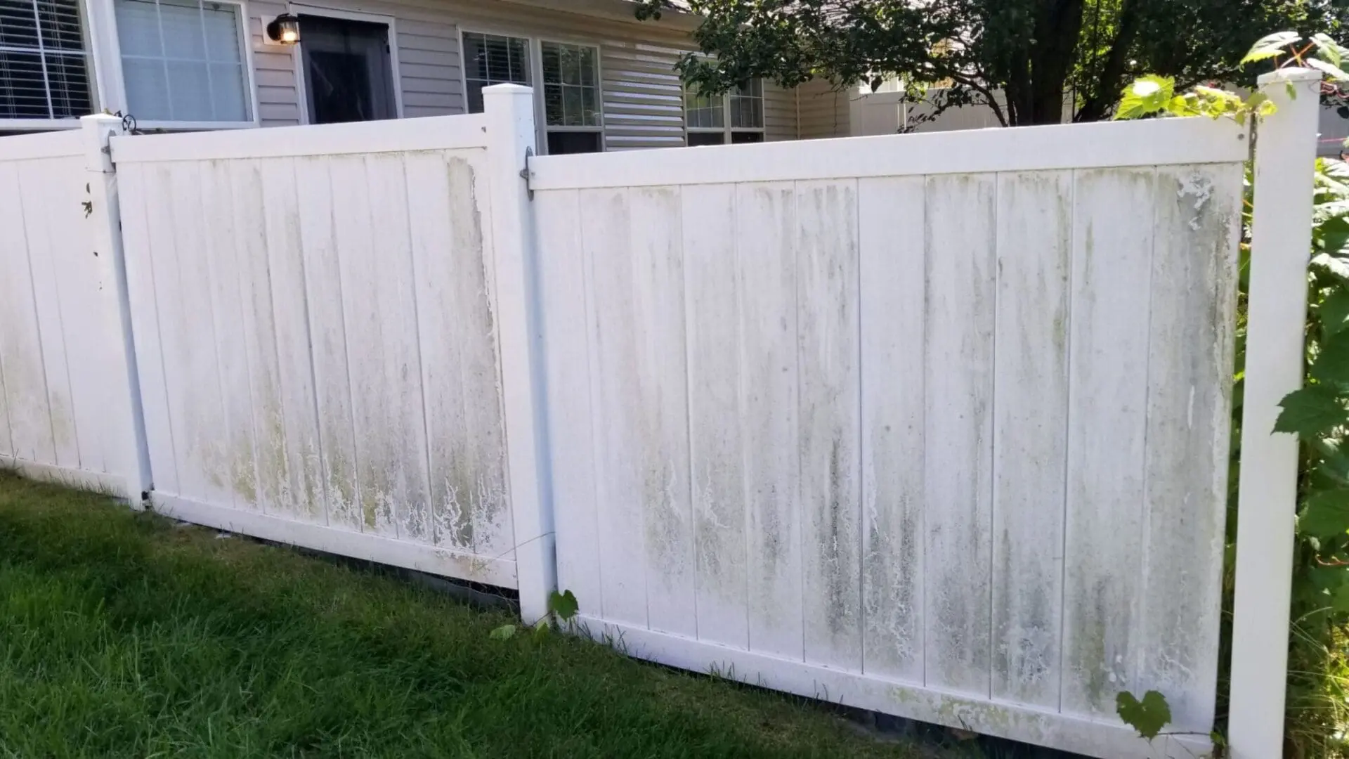 Black Streaks on Fence