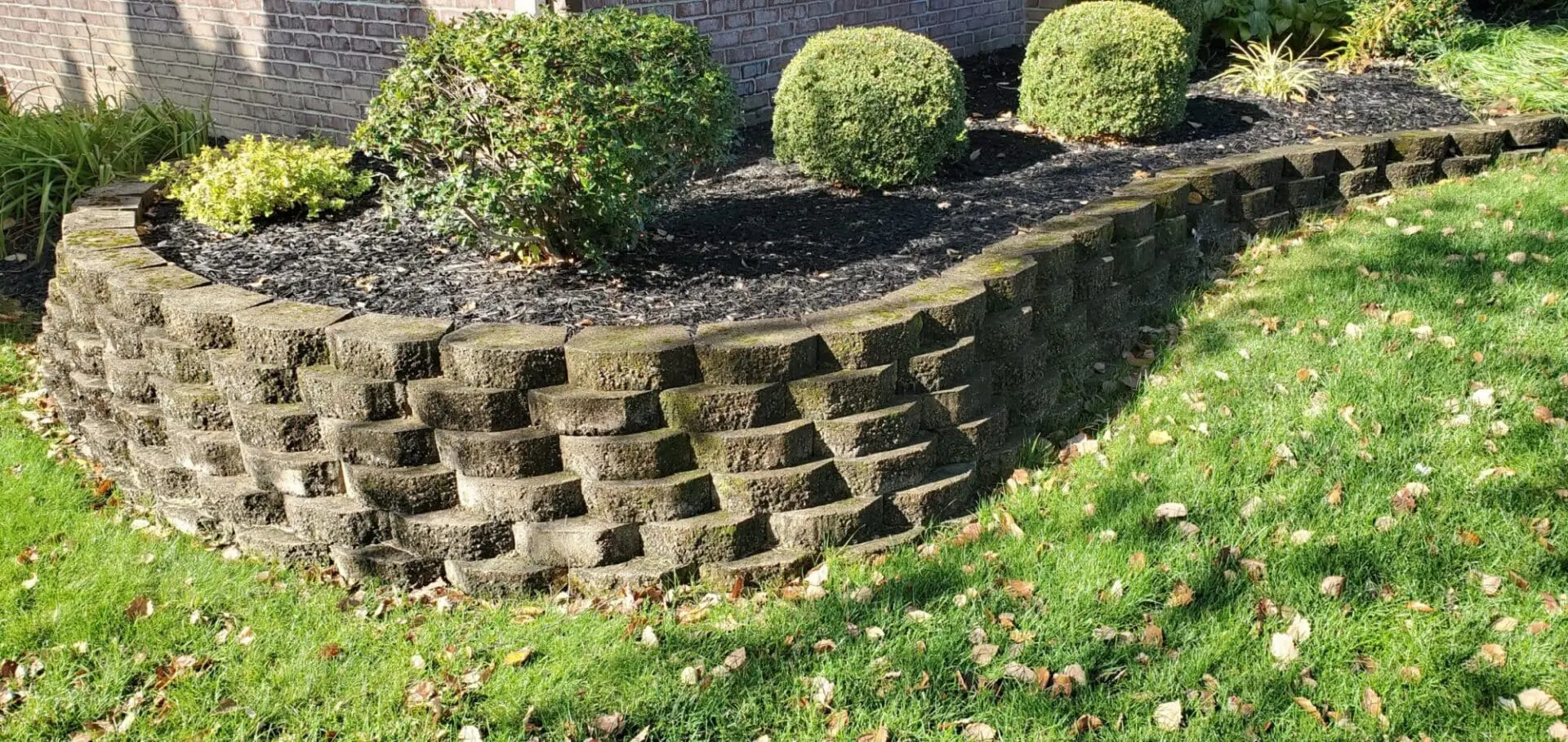 Mildew On Pavers