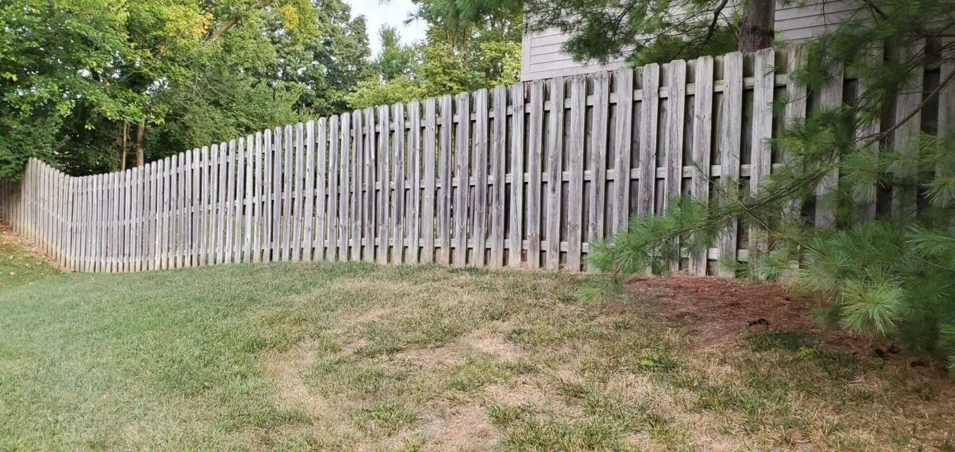 Wood Fence With Algae Indianapolis