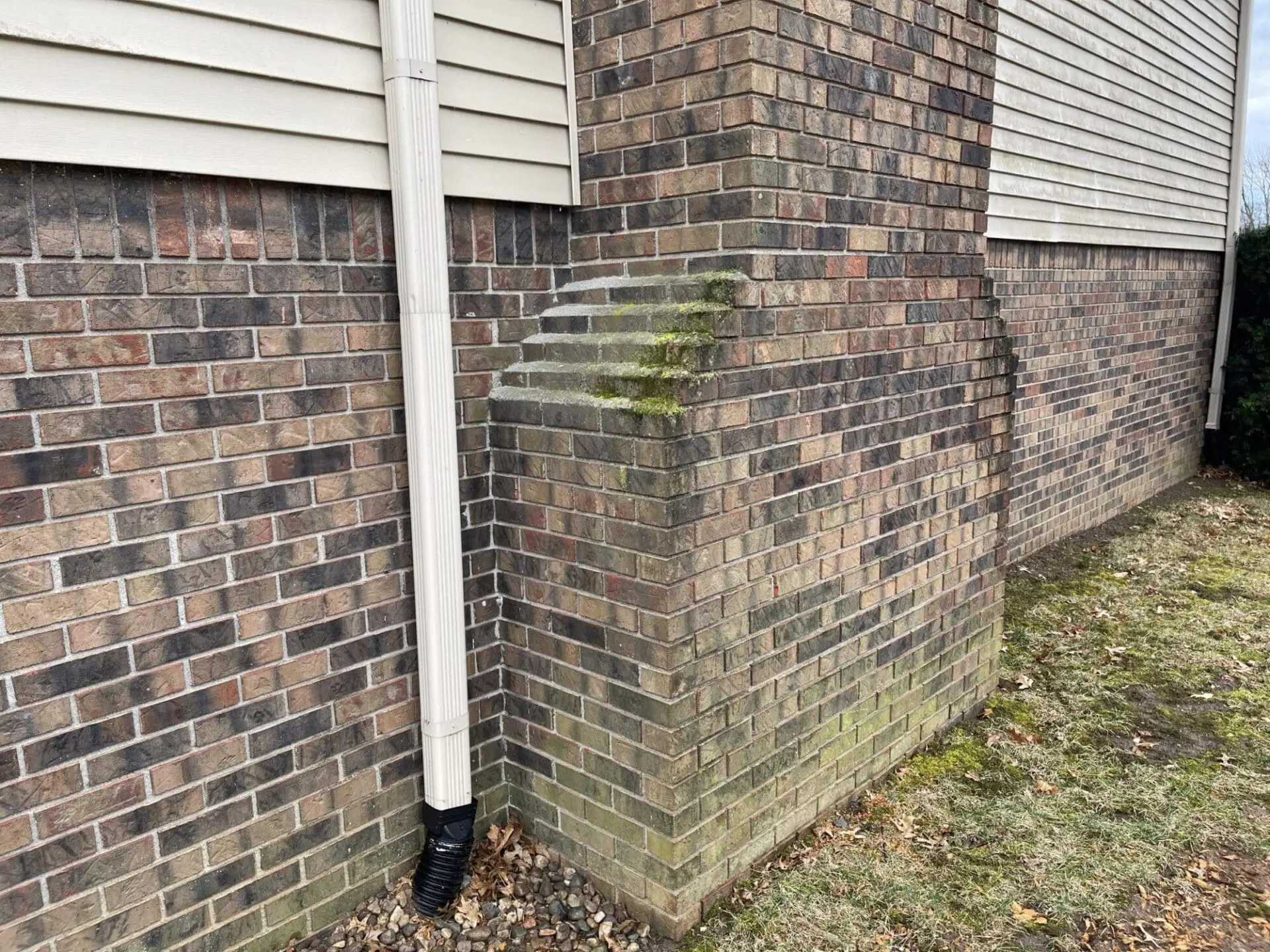 Algae Needs Cleaned Off Brick