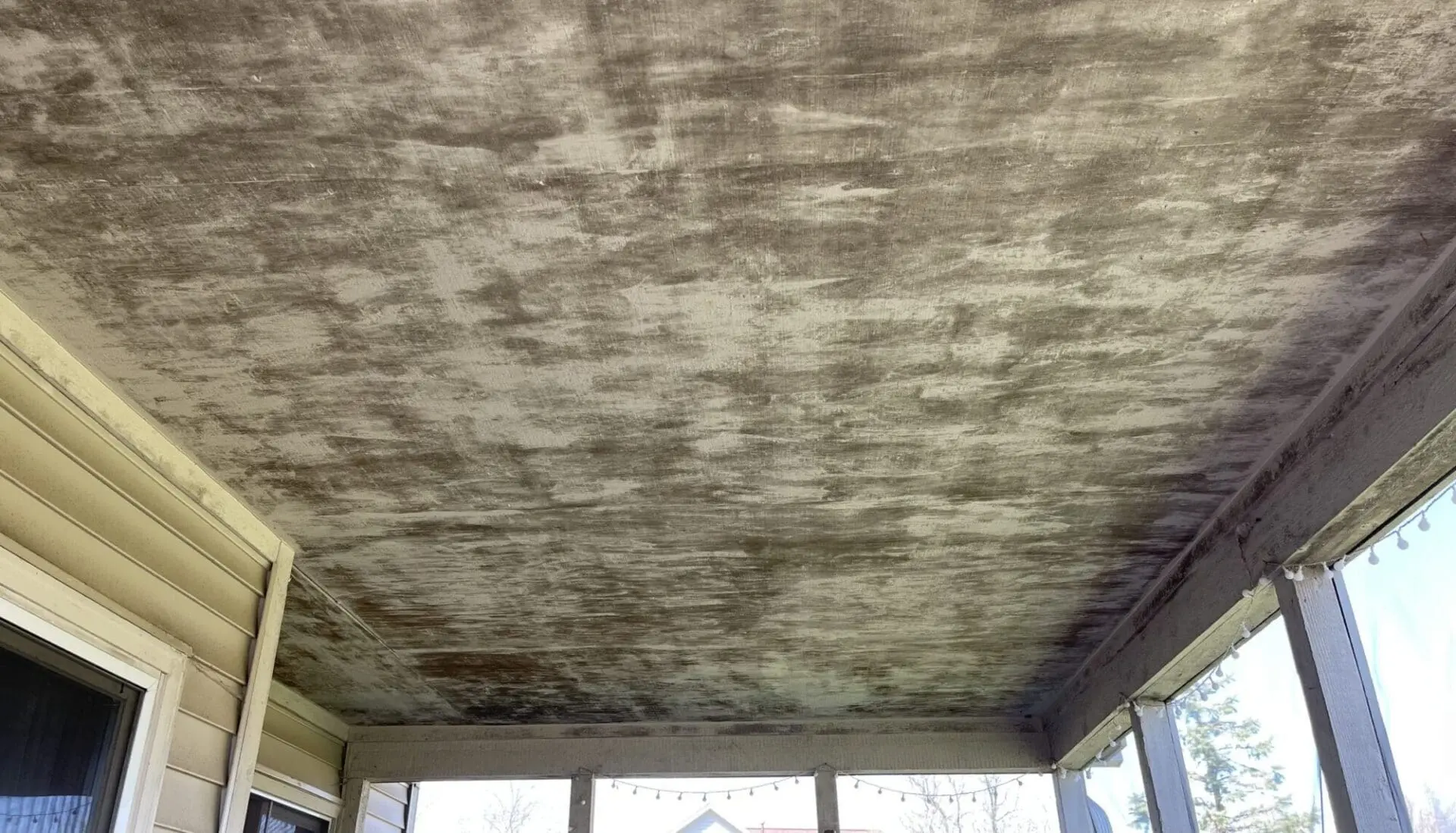 Dirty Ceiling of Sunroom