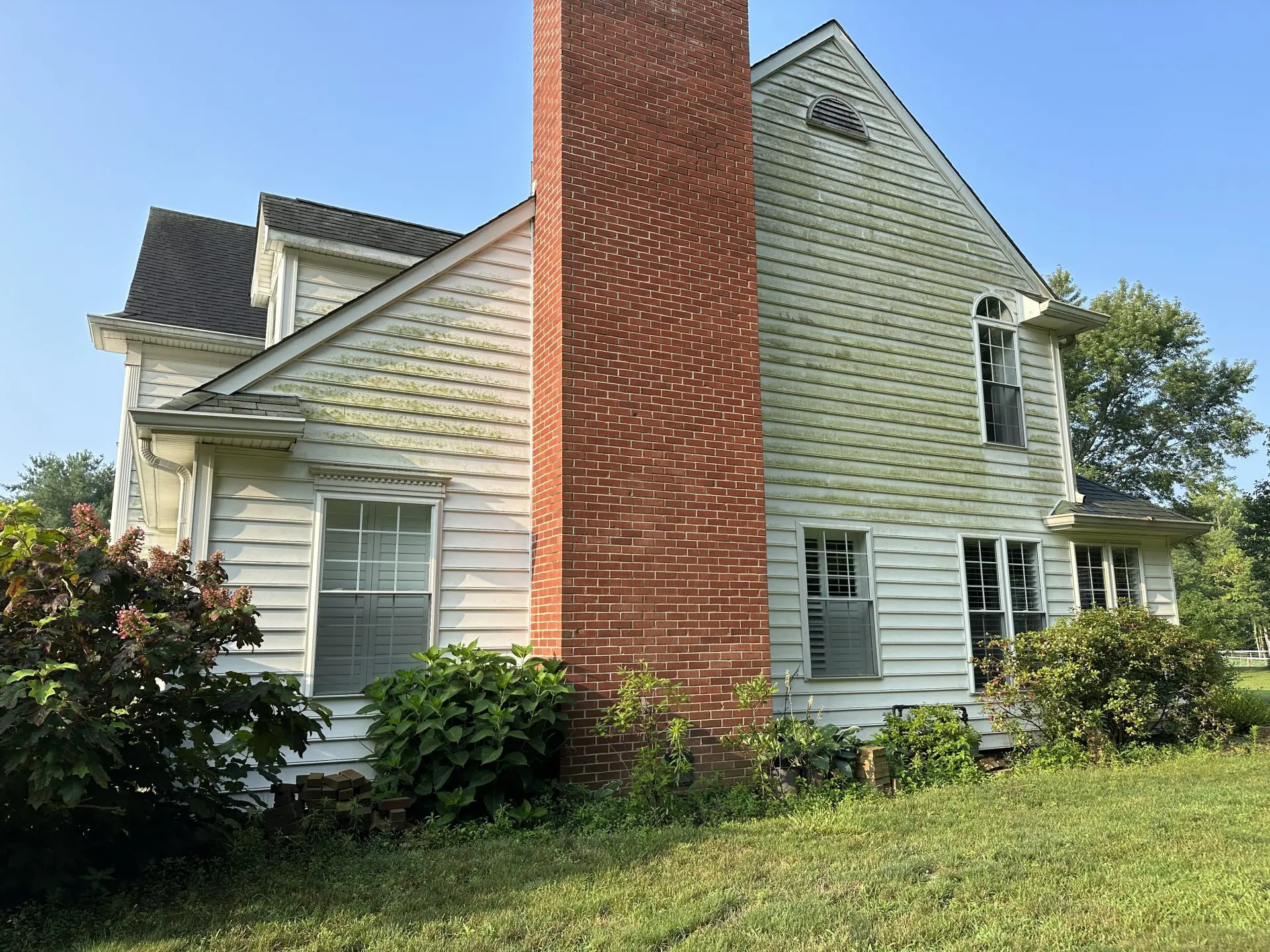Algae on Siding Pressure Washing Indianapolis