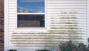 Dirty siding before house exterior cleaning showing mildew and dirt buildup